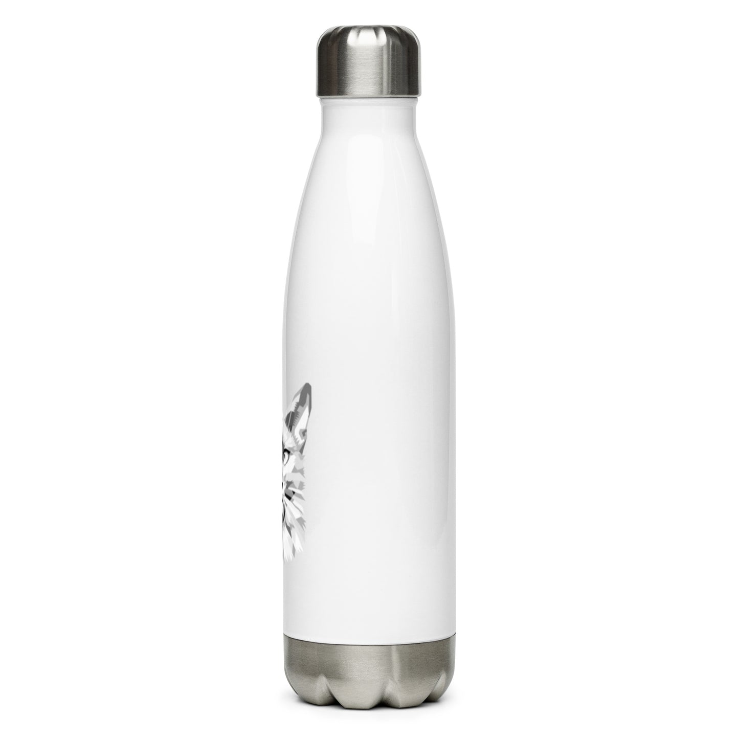 Stainless Steel Water Bottle