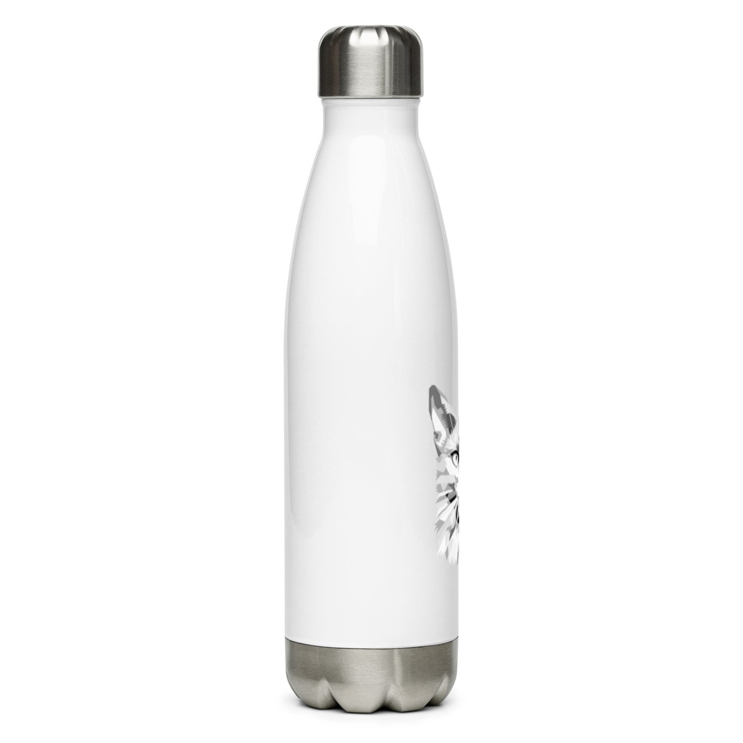 Stainless Steel Water Bottle