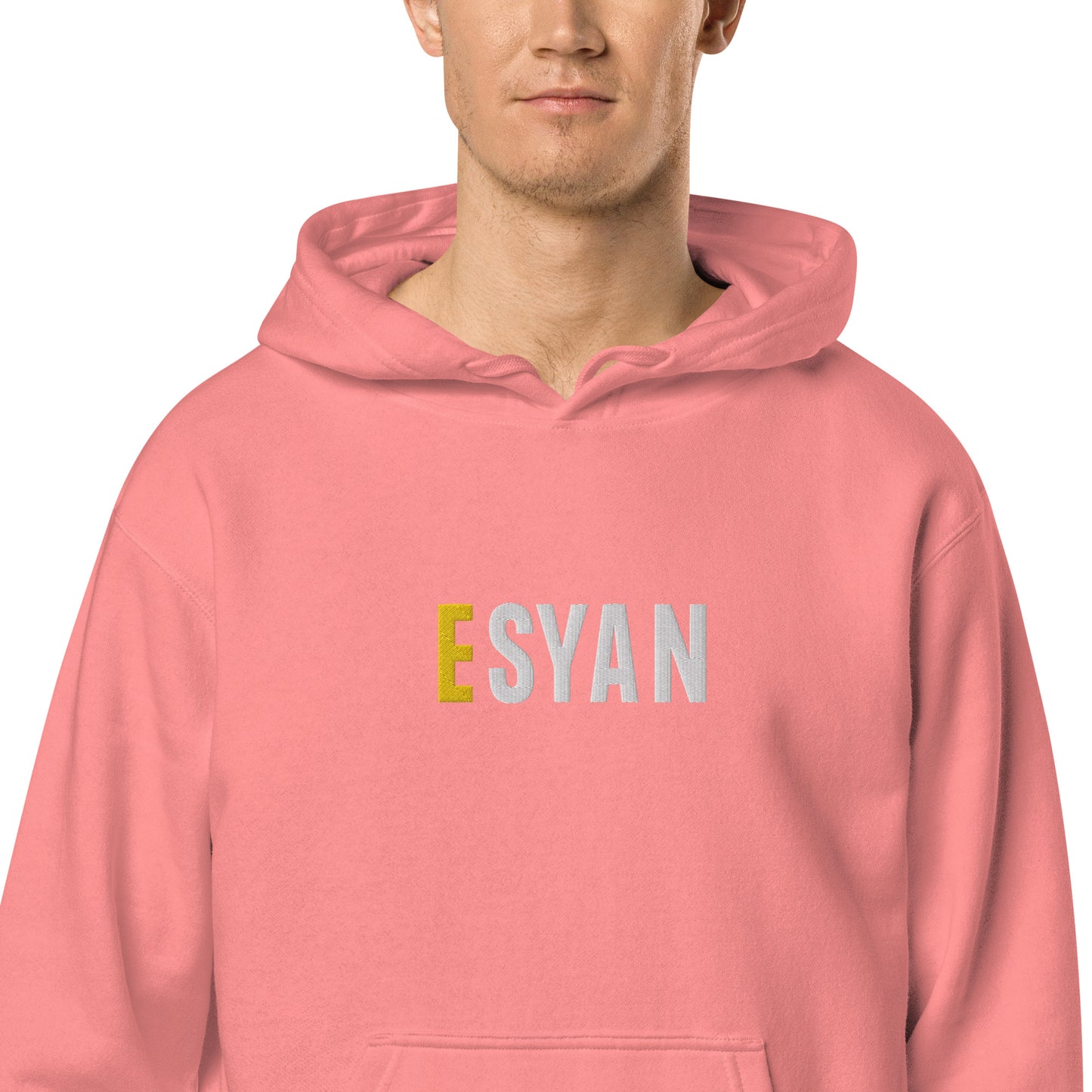 Colourful Vintage Syan Hoodie Flat Embroidery